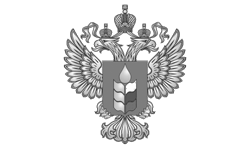 Нас рекомедуют - 13